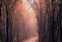 包含欧亚韩日独立站的词条